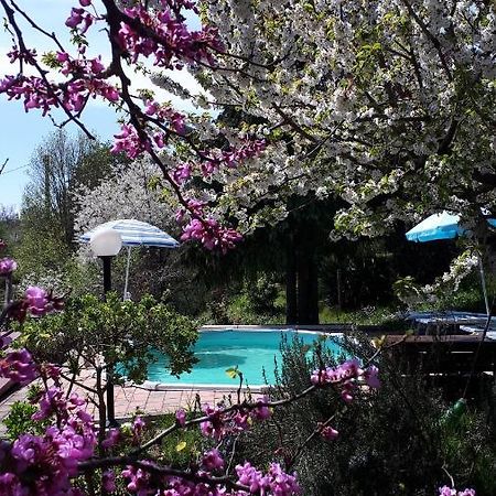 Il Ciliegio Del Pellegrino Appartement Gubbio Buitenkant foto