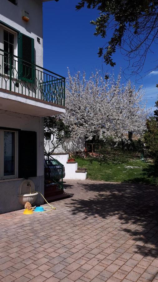 Il Ciliegio Del Pellegrino Appartement Gubbio Buitenkant foto