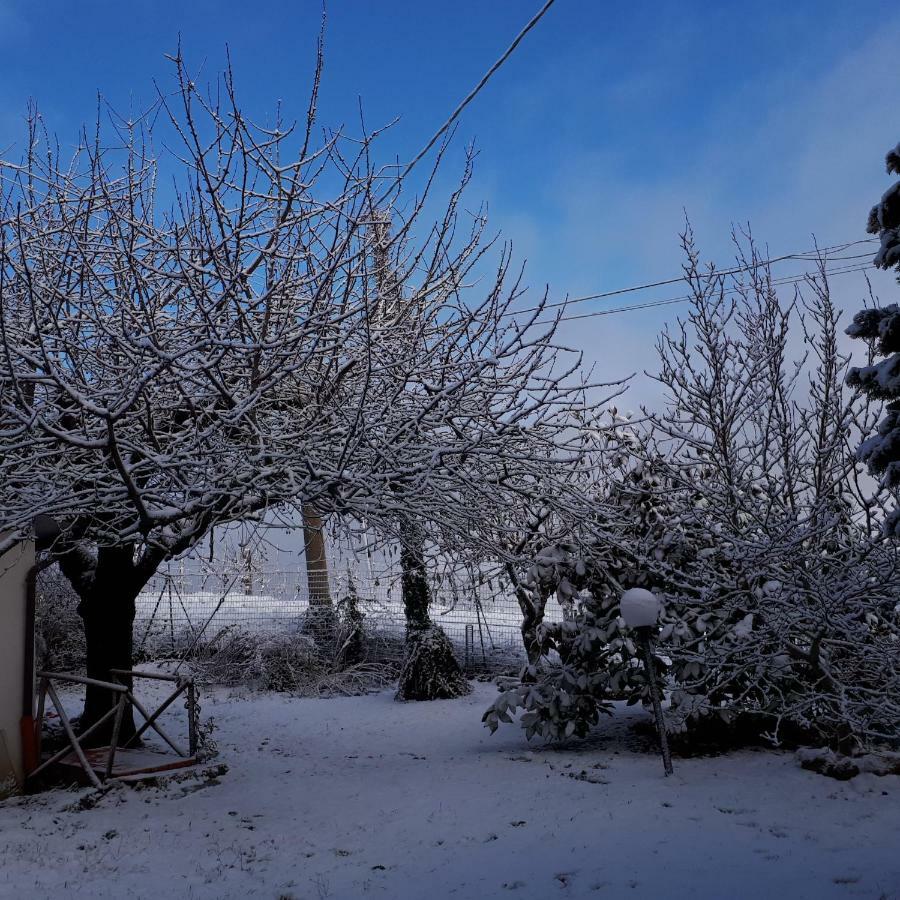Il Ciliegio Del Pellegrino Appartement Gubbio Buitenkant foto