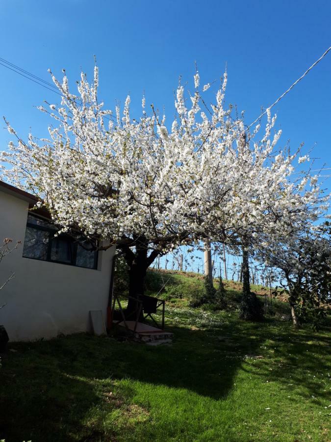 Il Ciliegio Del Pellegrino Appartement Gubbio Buitenkant foto
